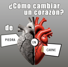 nuevo corazon